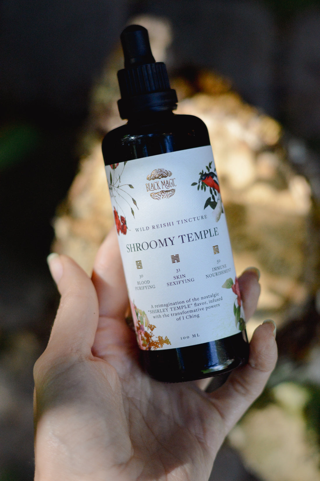 The Shroomy Temple | Wild Reishi Mushroom Tincture