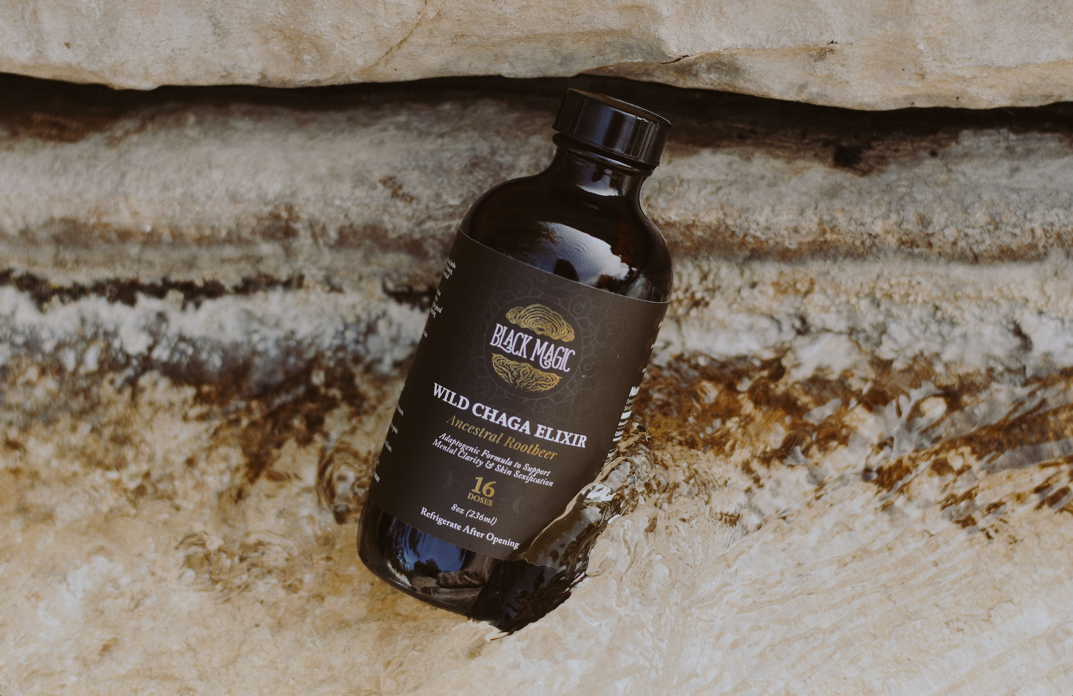 Wild Harvested Chaga Mushroom Rootbeer Elixir
