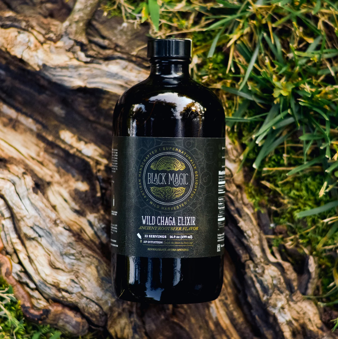 Wild Harvested Chaga Mushroom Rootbeer Elixir