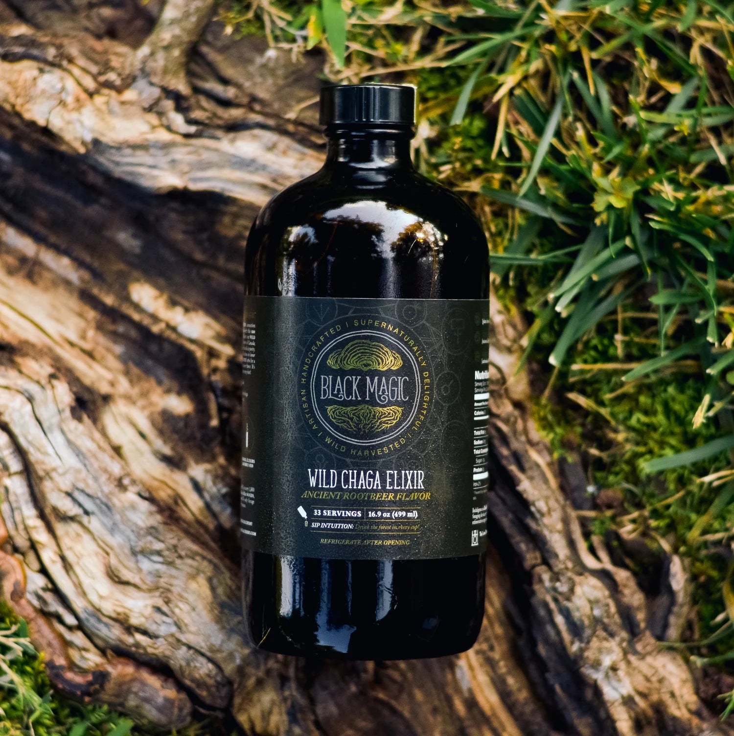 Wild Harvested Chaga Mushroom Rootbeer Elixir