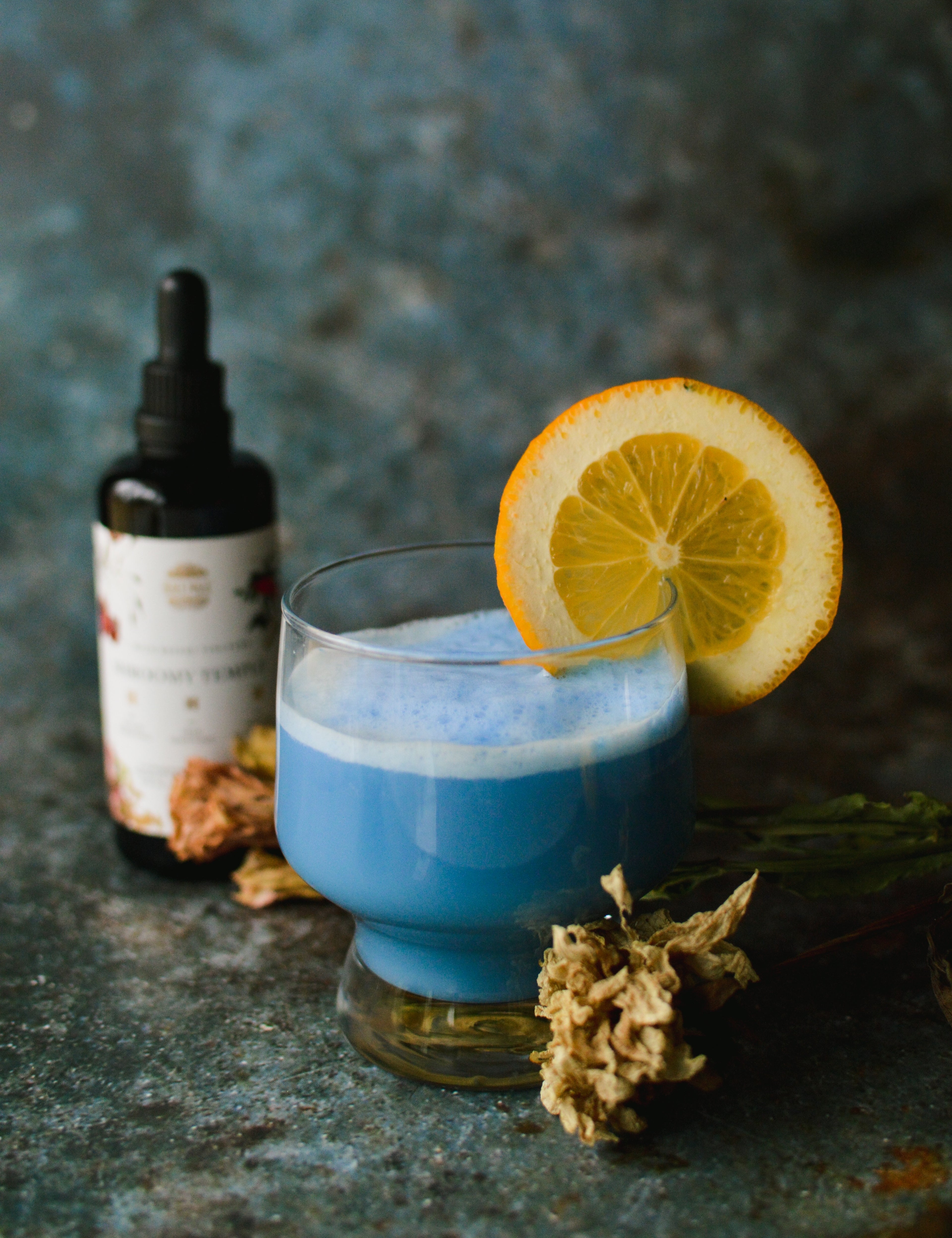 The Shroomy Temple | Wild Reishi Mushroom Tincture