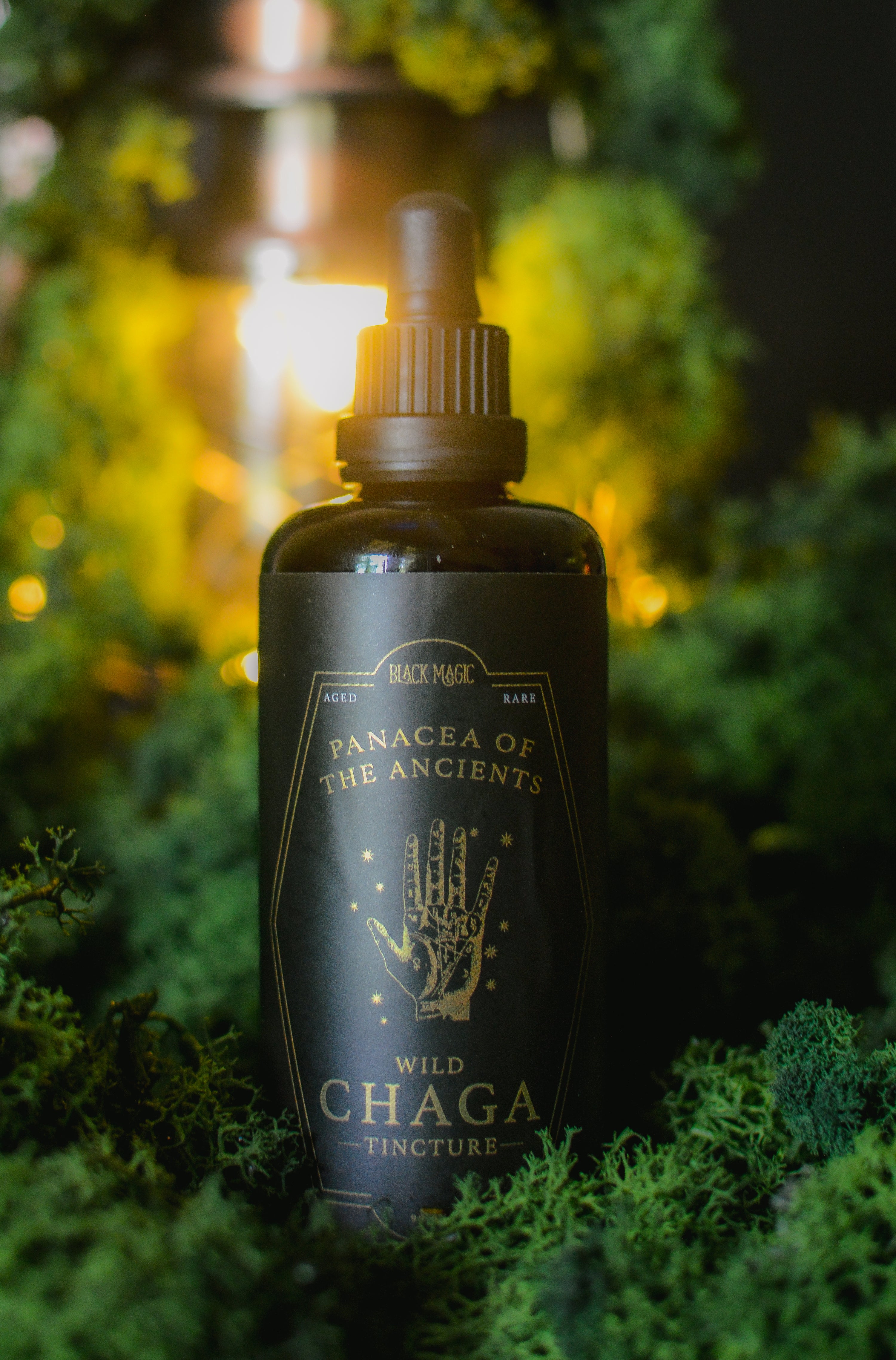 Panacea of the Ancients: Wild Chaga Tincture (Private Reserve)