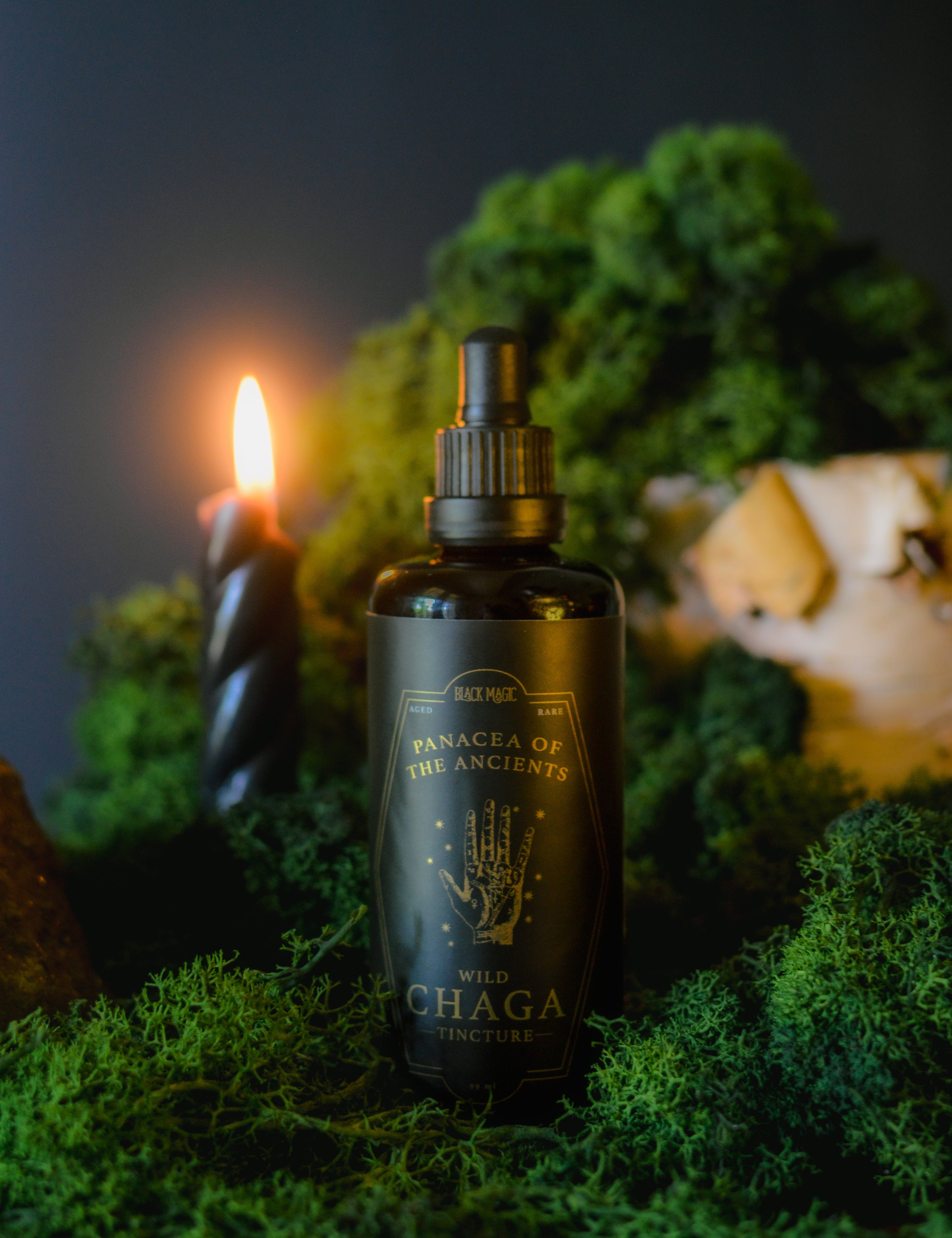 Panacea of the Ancients: Wild Chaga Tincture (Private Reserve)