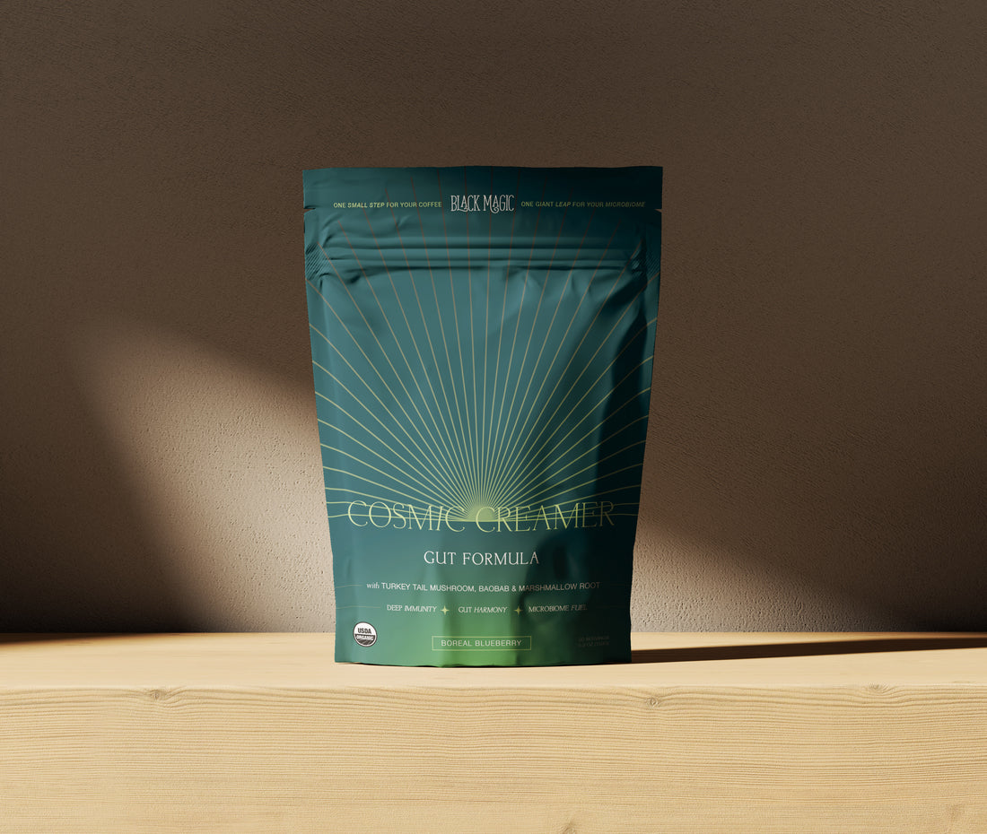 Cosmic Creamer: Turkey Tail Mushroom - Boreal Blueberry