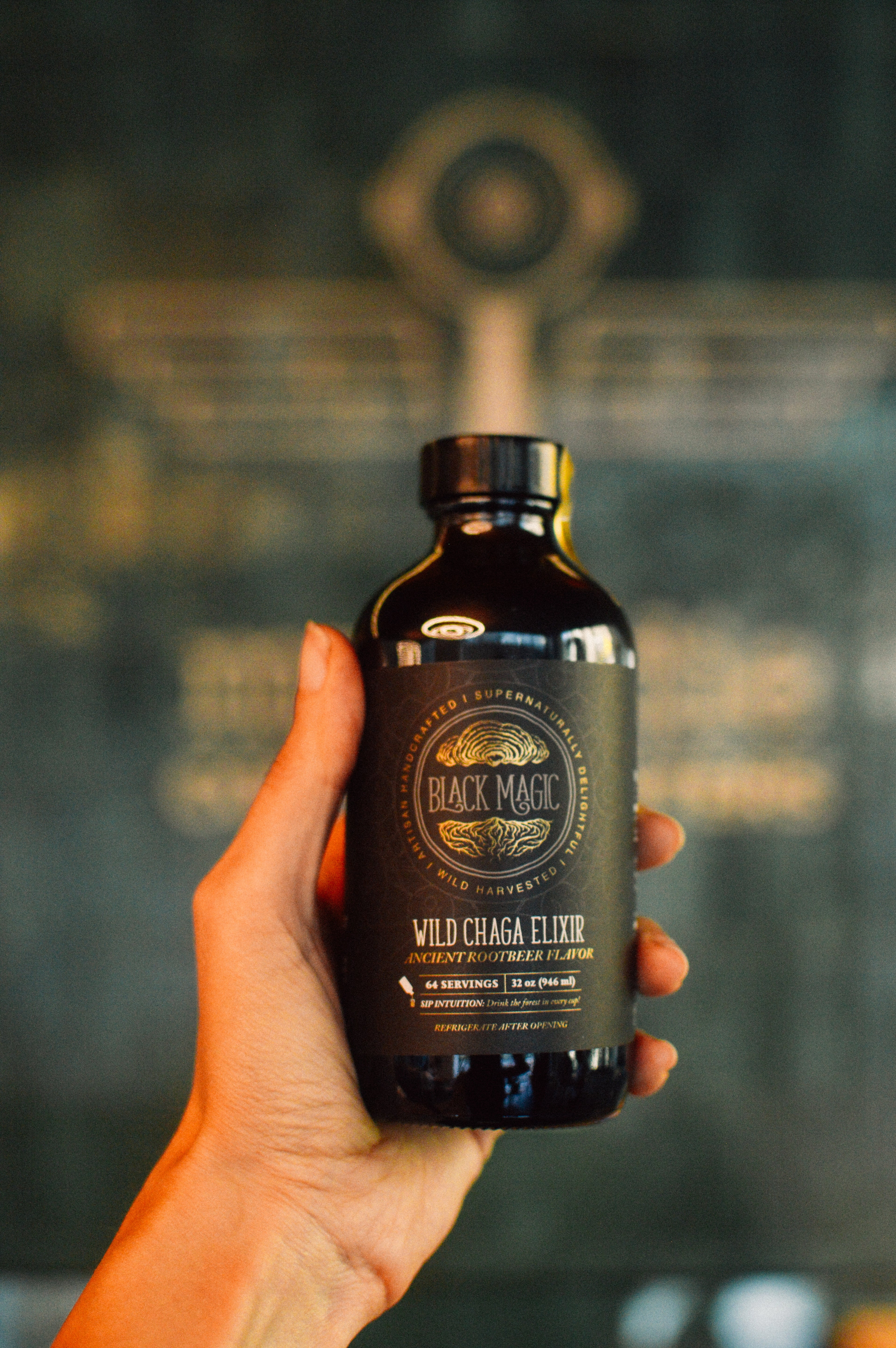 Wild Harvested Chaga Mushroom Rootbeer Elixir