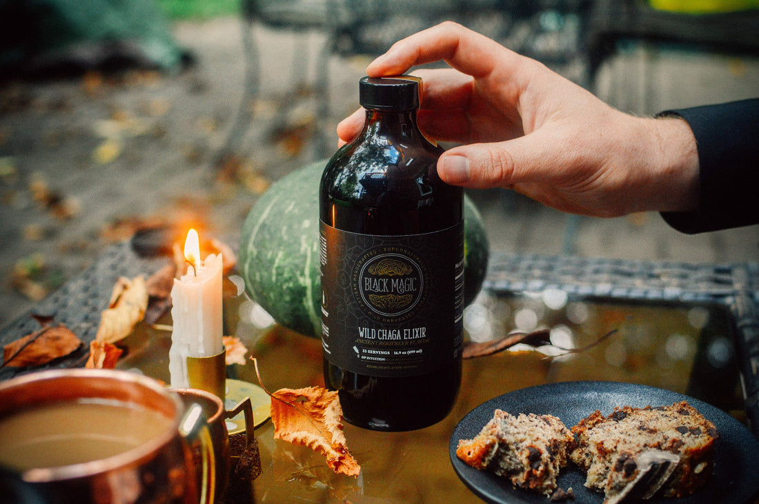 Wild Harvested Chaga Mushroom Rootbeer Elixir