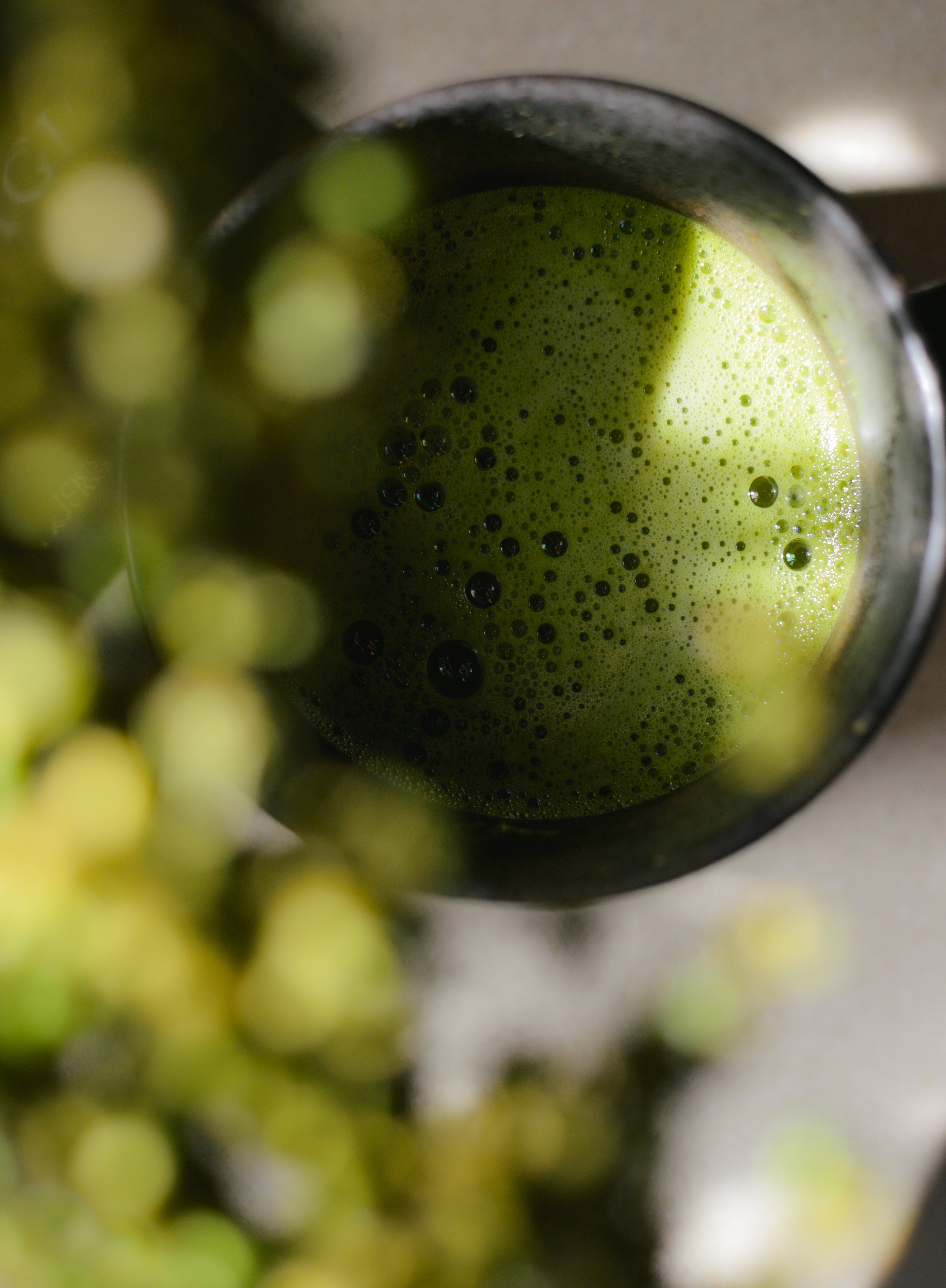 Wild Harvested Chaga Mushroom Rootbeer Elixir