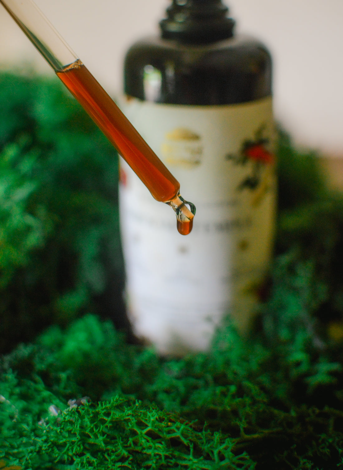 The Shroomy Temple | Wild Reishi Mushroom Tincture