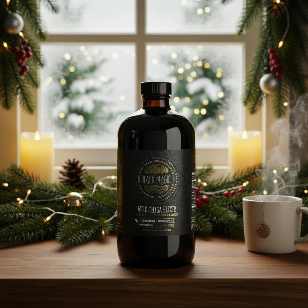 Wild Harvested Chaga Mushroom Rootbeer Elixir