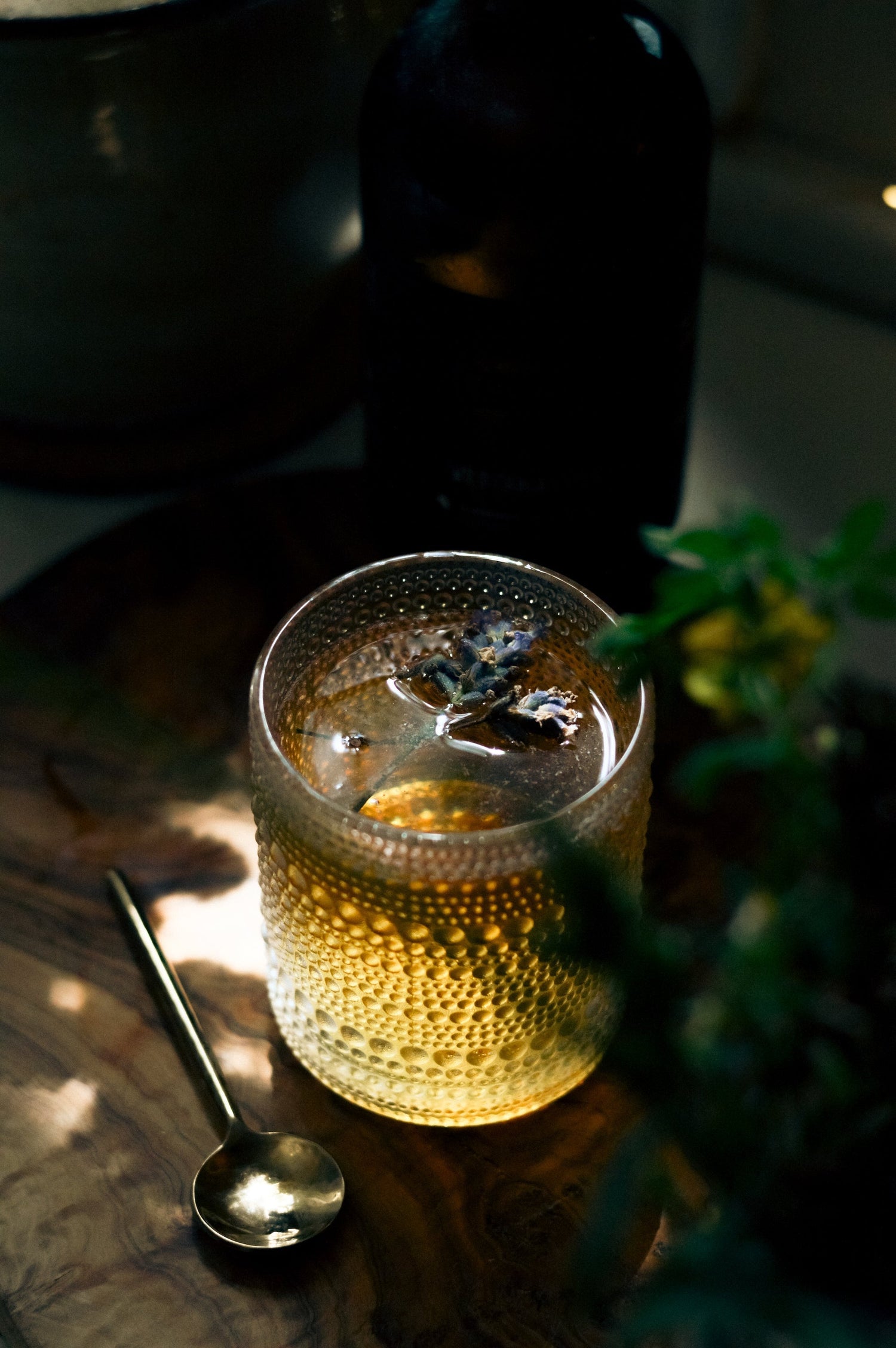 How to Make Wild Chaga Root Beer Soda at Home