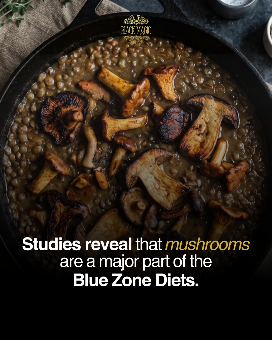 A Major Part of the Blue Zone Diet? Mushrooms. – Black Magic Alchemy