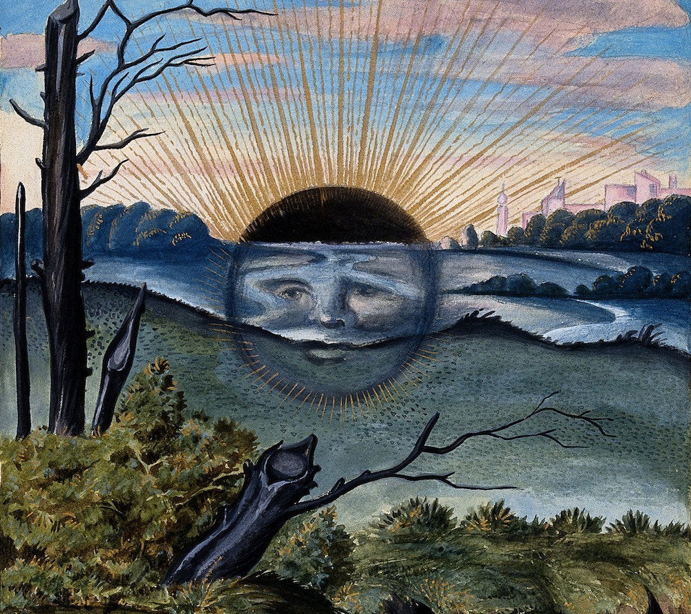 The Mystical Tradition of Harvesting Herbs at Dawn (and why it's important)