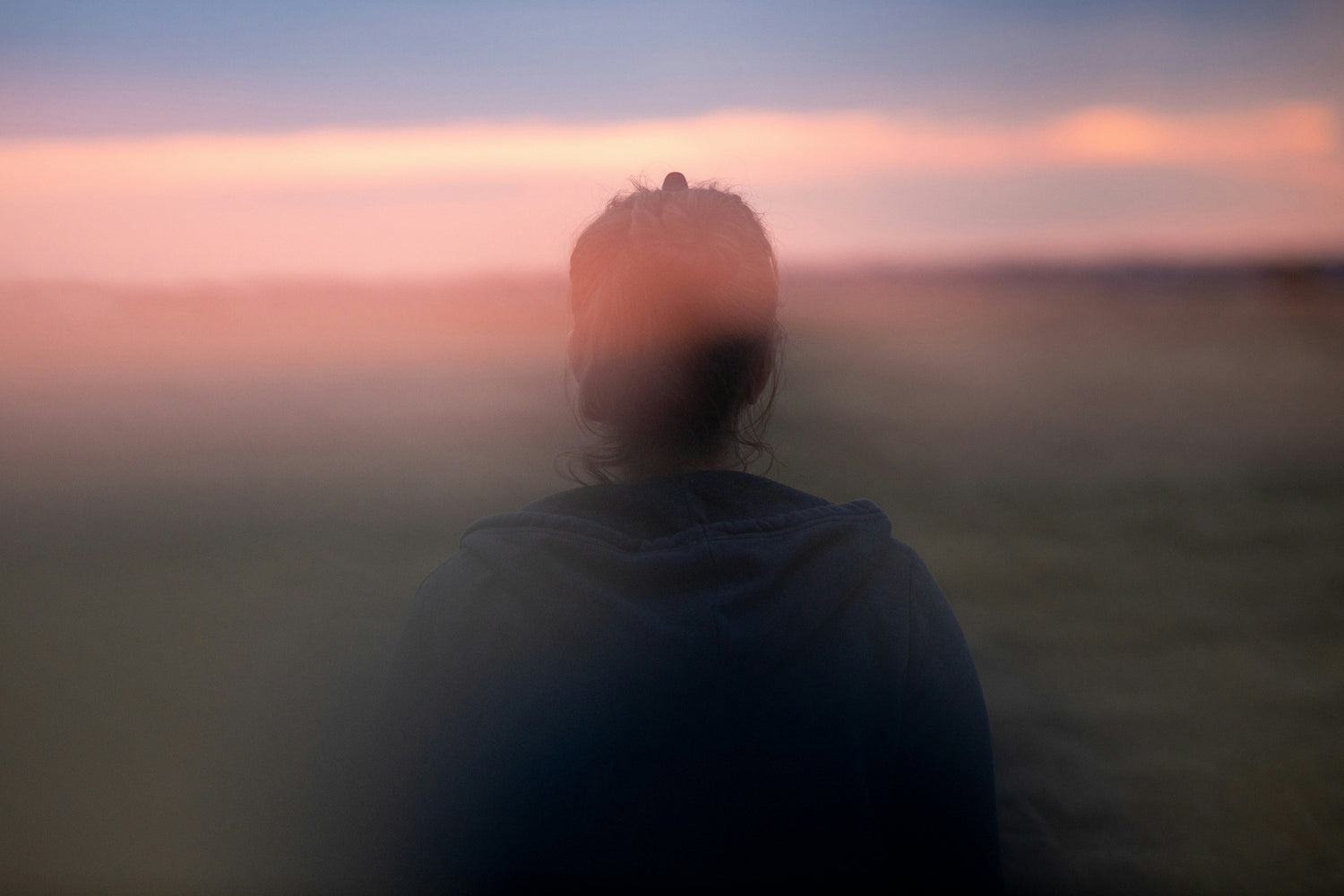 Medicinal Mushrooms for Brain Fog: A Research-Based Guide