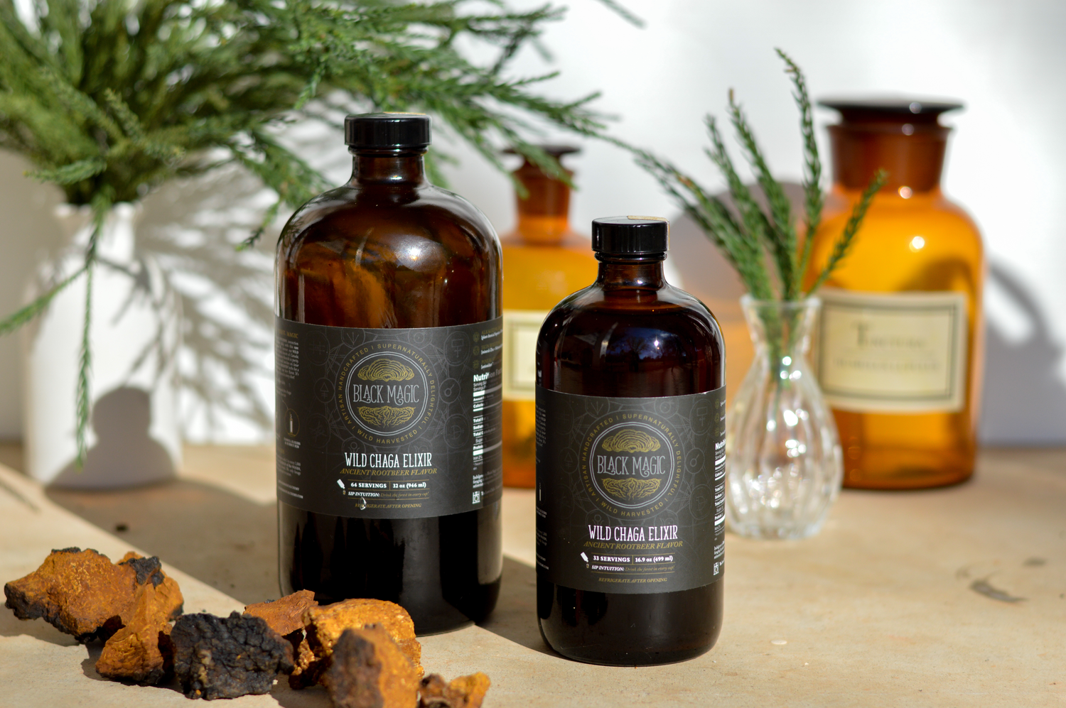 Chaga Mushroom