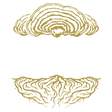 Black Magic Alchemy