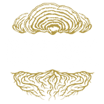 Black Magic Alchemy
