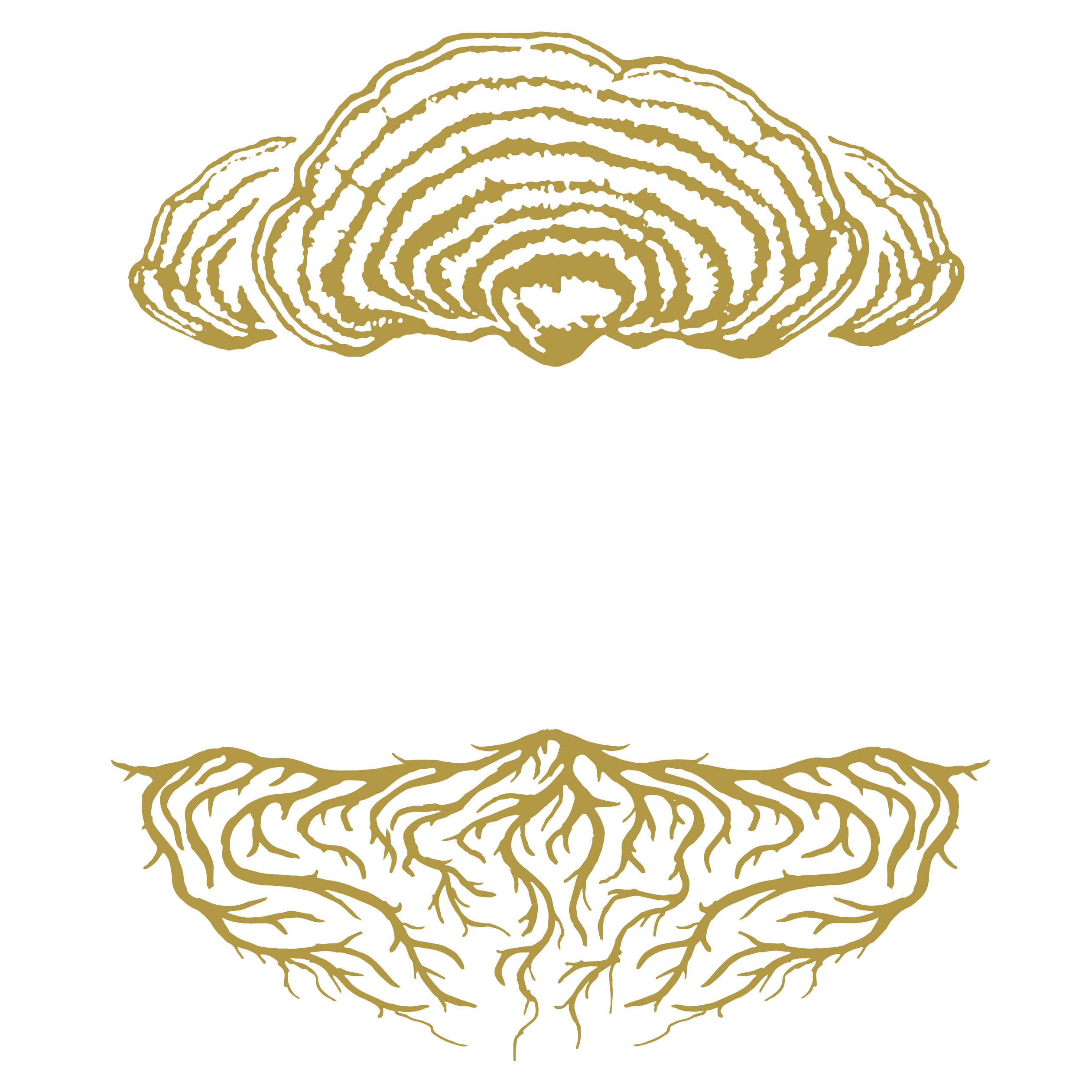 The Shroomy Temple  Wild Reishi Mushroom Tincture – Black Magic Alchemy