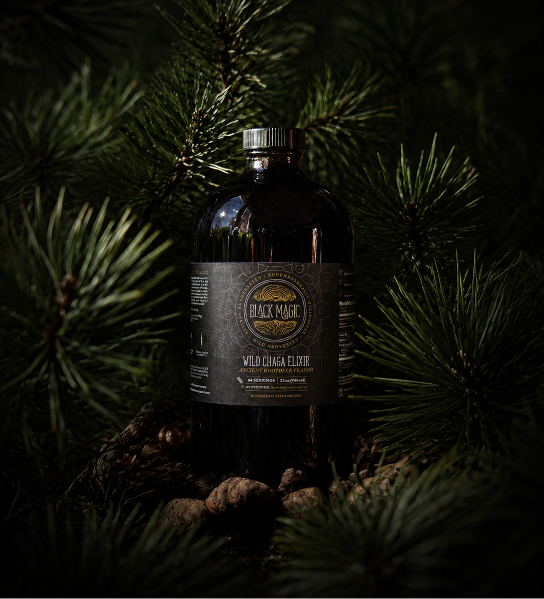 Wild Harvested Chaga Mushroom Rootbeer Elixir