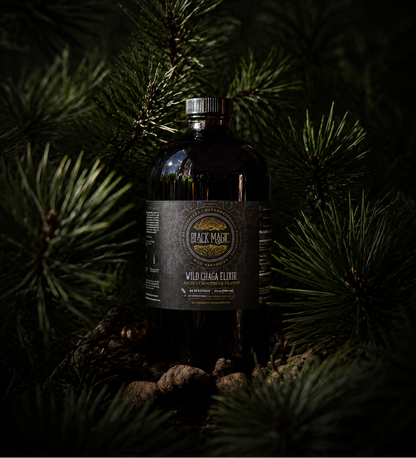 Wild Harvested Chaga Mushroom Rootbeer Elixir