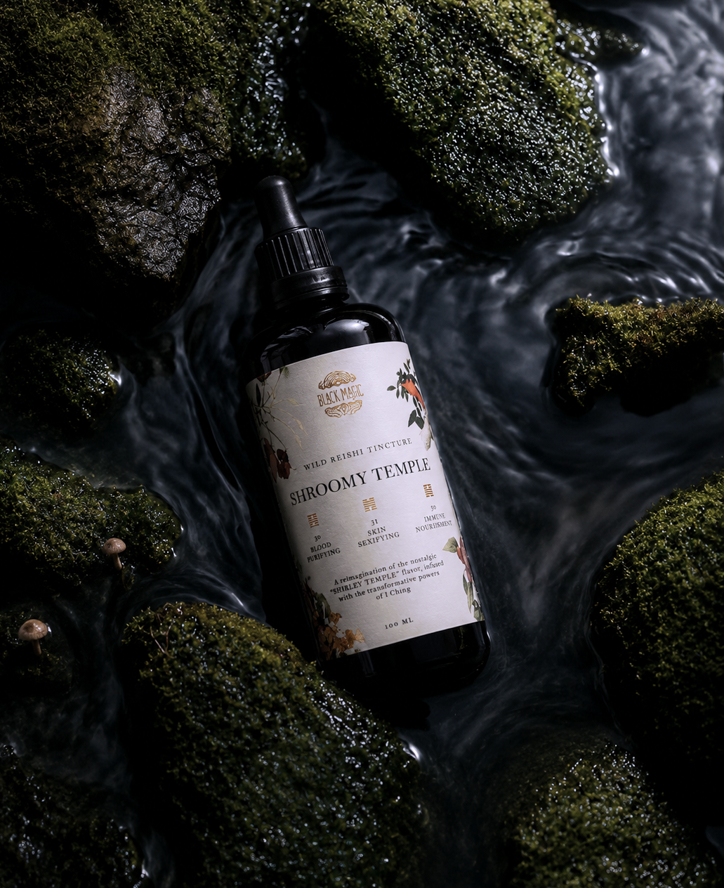 The Shroomy Temple | Wild Reishi Mushroom Tincture