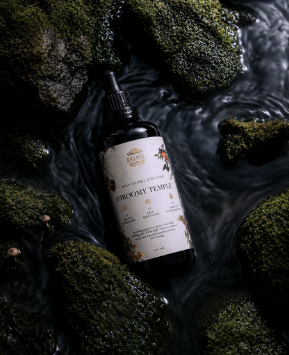 The Shroomy Temple | Wild Reishi Mushroom Tincture
