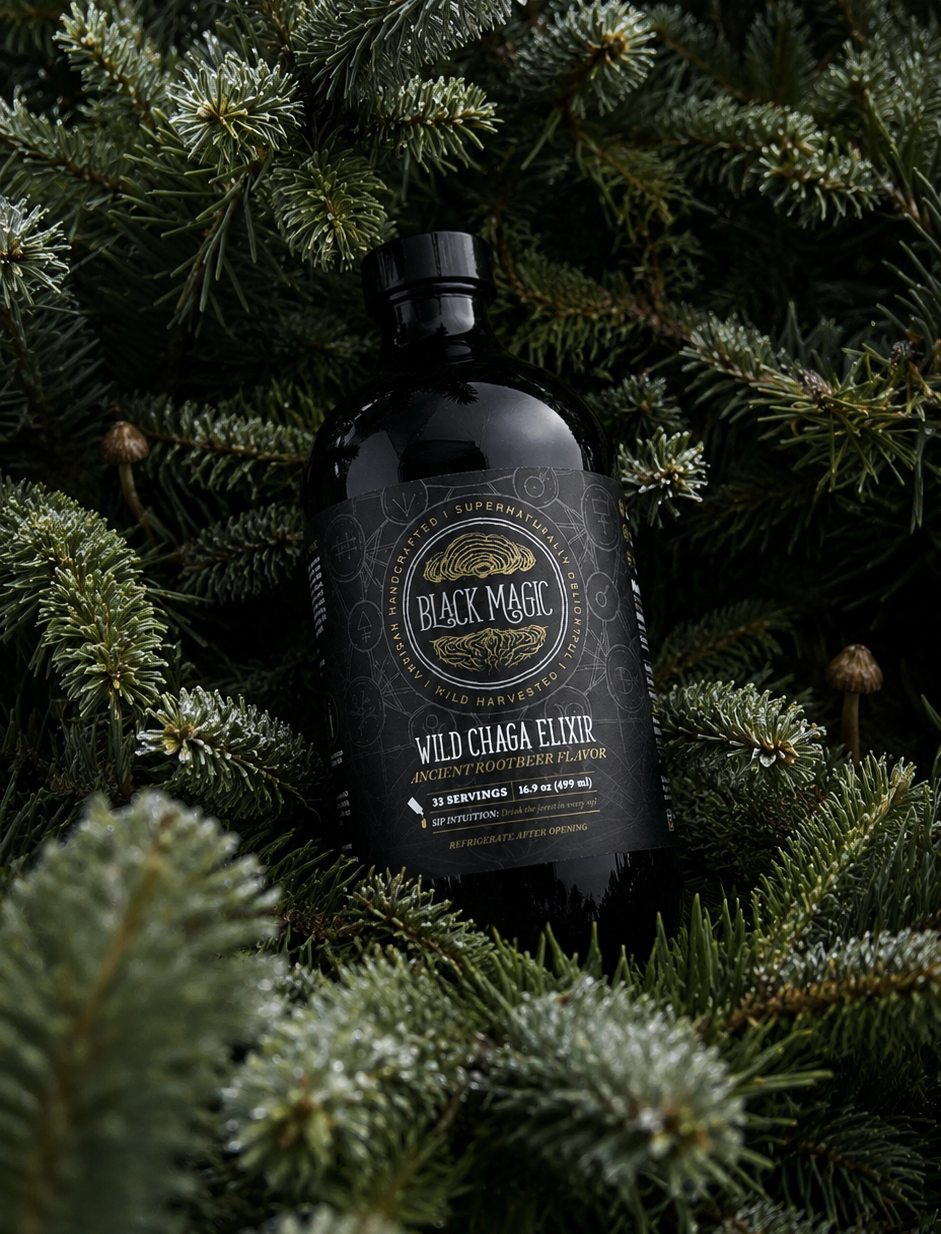 Wild Harvested Chaga Mushroom Rootbeer Elixir