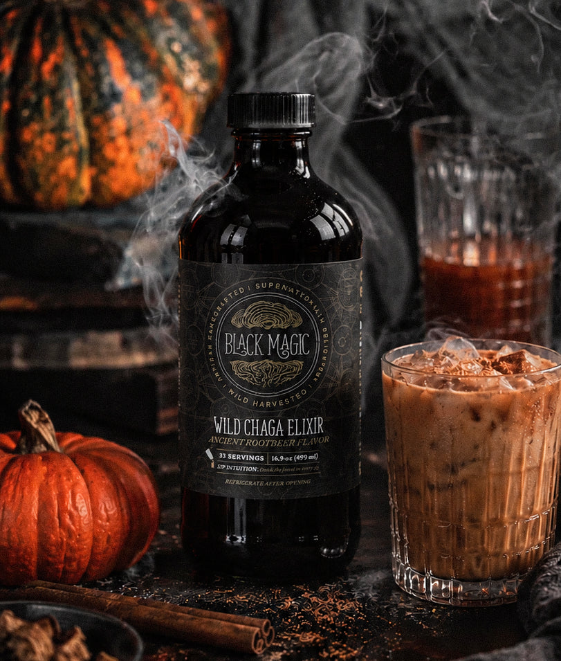 Wild Harvested Chaga Mushroom Rootbeer Elixir