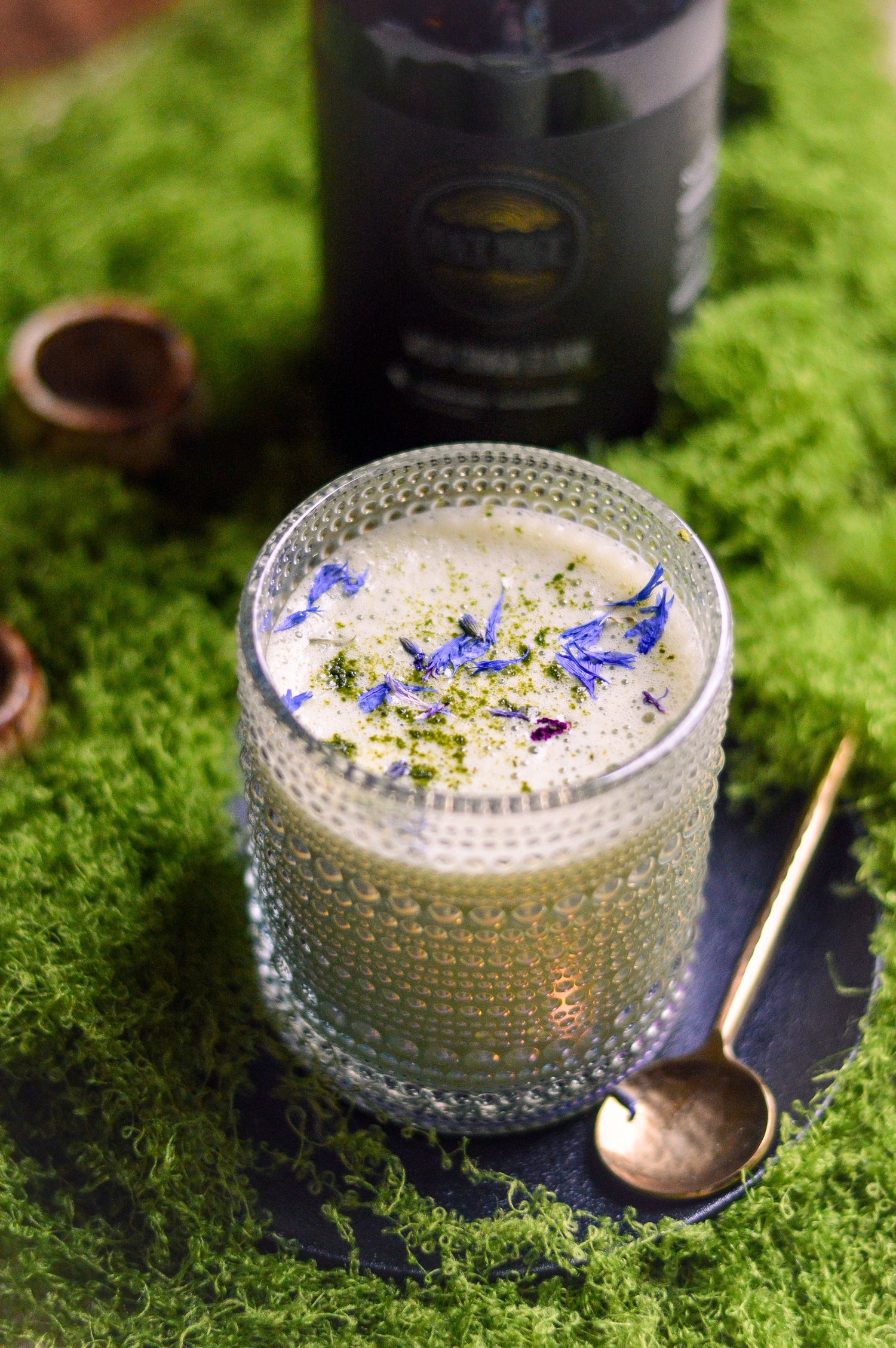 Wild Harvested Chaga Mushroom Rootbeer Elixir