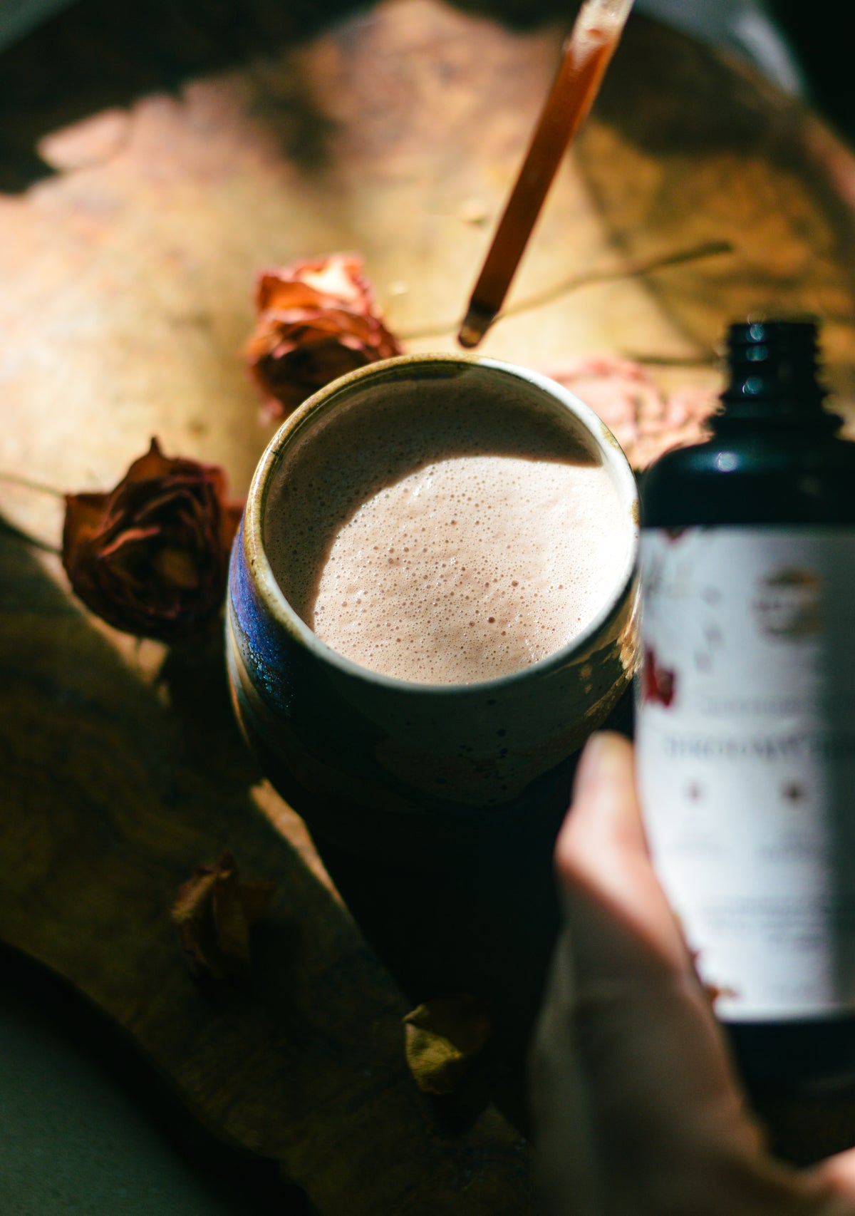 The Shroomy Temple | Wild Reishi Mushroom Tincture