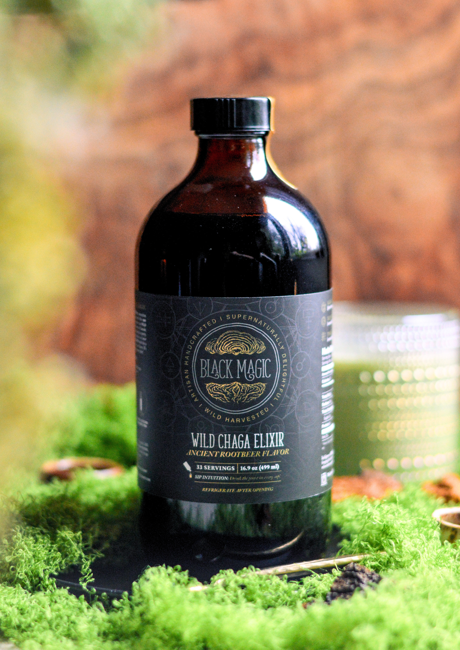 Wild Harvested Chaga Mushroom Rootbeer Elixir