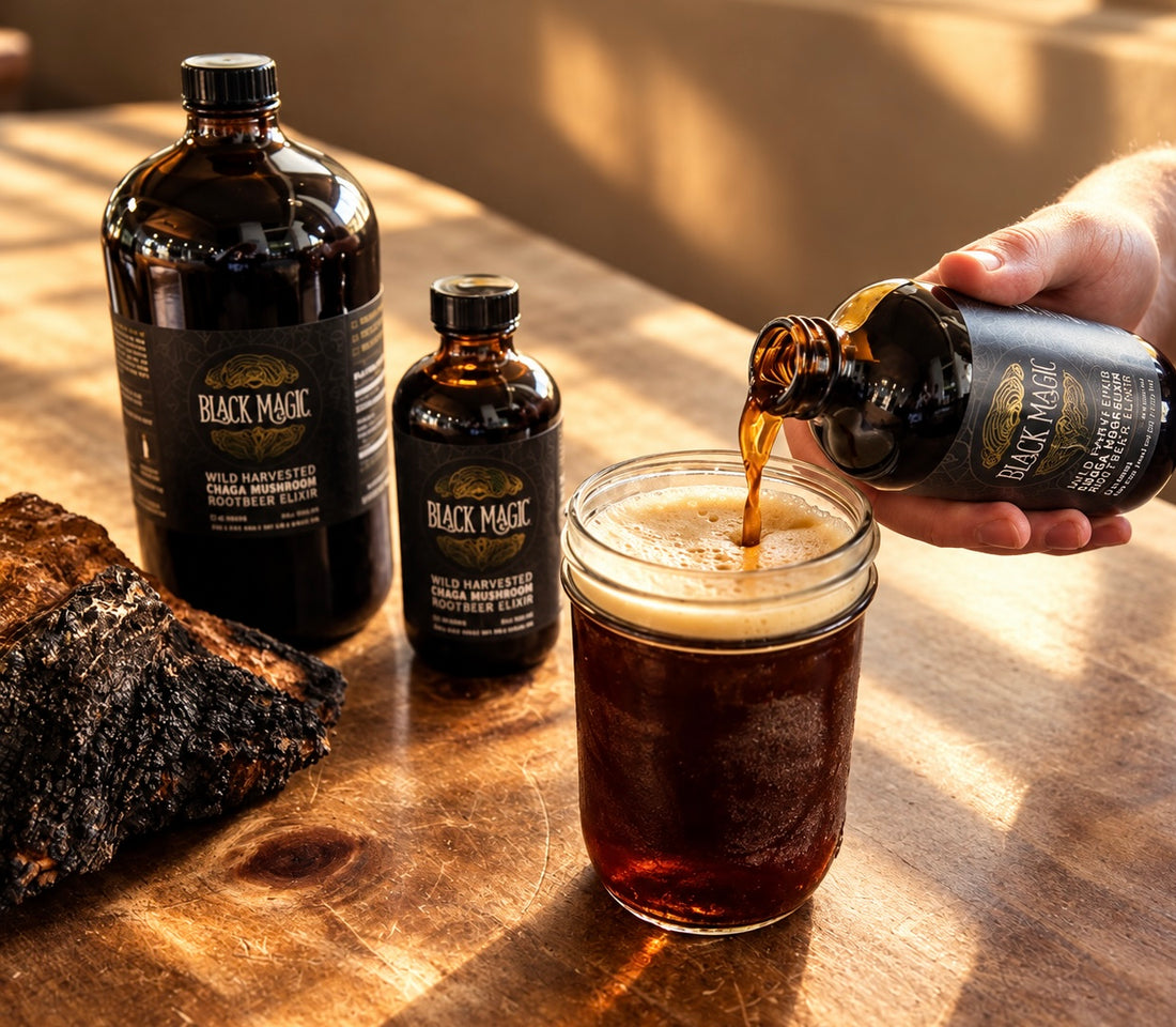 Wild Harvested Chaga Mushroom Rootbeer Elixir