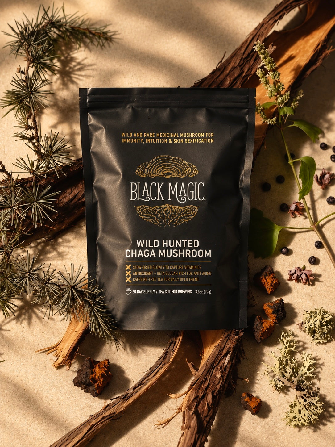 Sustainably Wild Harvested Chaga Mushroom Tea