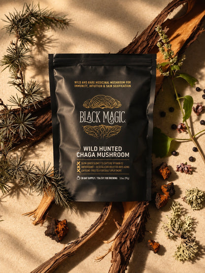 Sustainably Wild Harvested Chaga Mushroom Tea