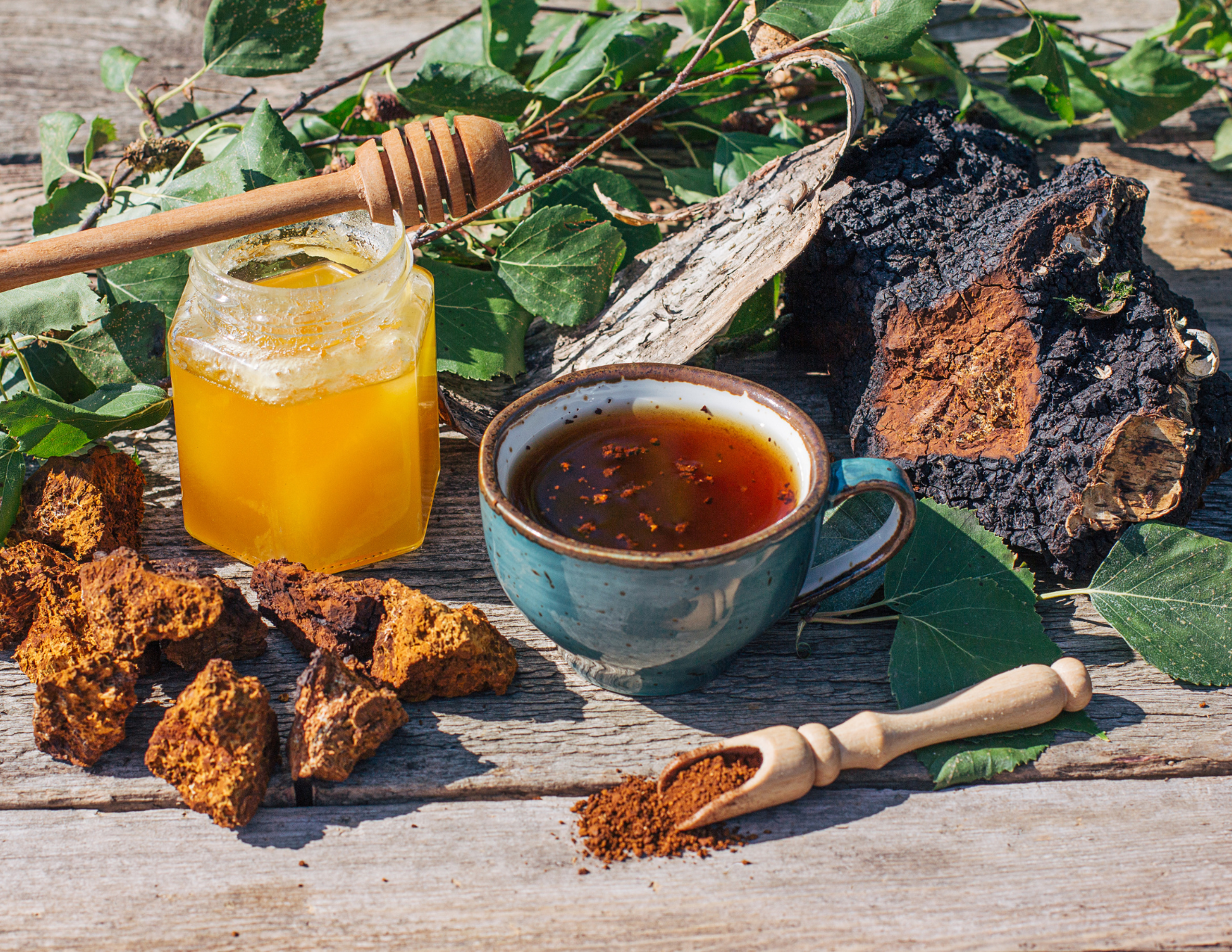 Sustainably Wild Harvested Chaga Mushroom Tea