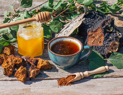 Sustainably Wild Harvested Chaga Mushroom Tea