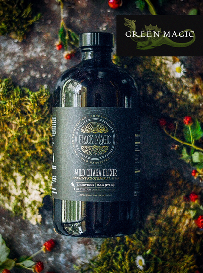 Wild Harvested Chaga Mushroom Rootbeer Elixir