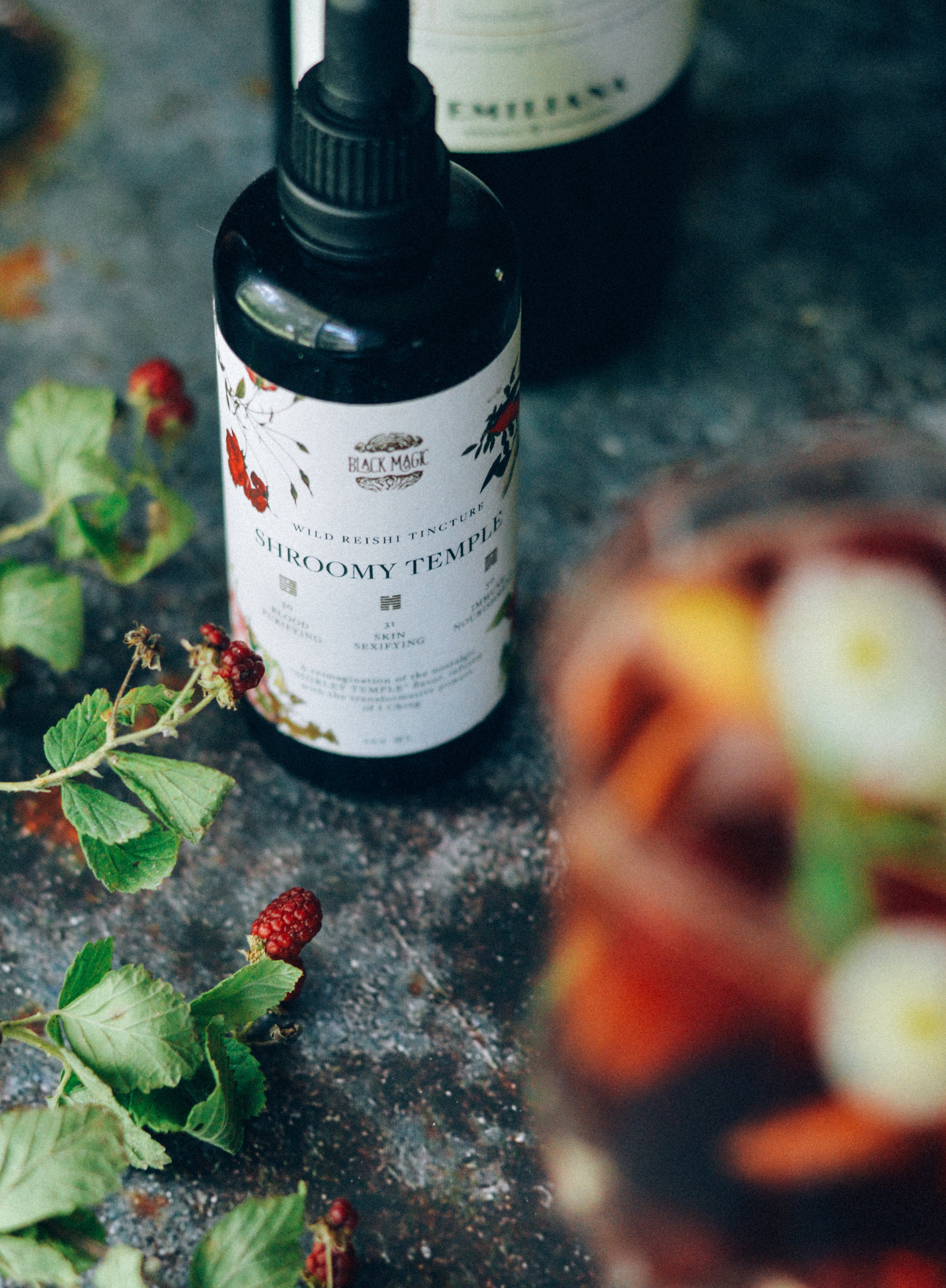 The Shroomy Temple | Wild Reishi Mushroom Tincture