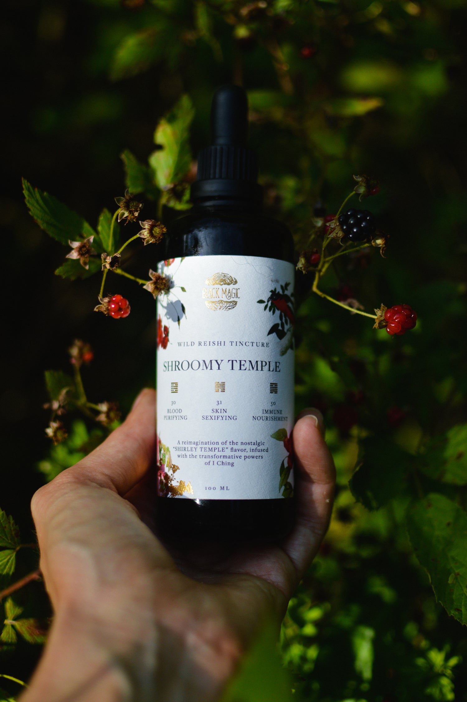 The Shroomy Temple | Wild Reishi Mushroom Tincture