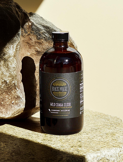 Wild Harvested Chaga Mushroom Rootbeer Elixir
