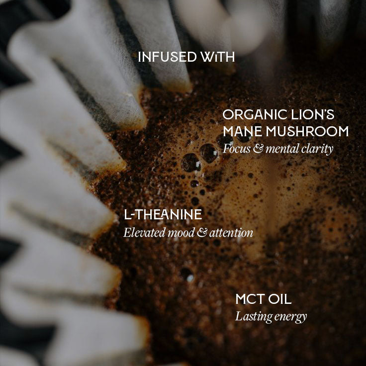 Holy Grounds Hazelnut Cream Mushroom Coffee — Organic Whole Bean