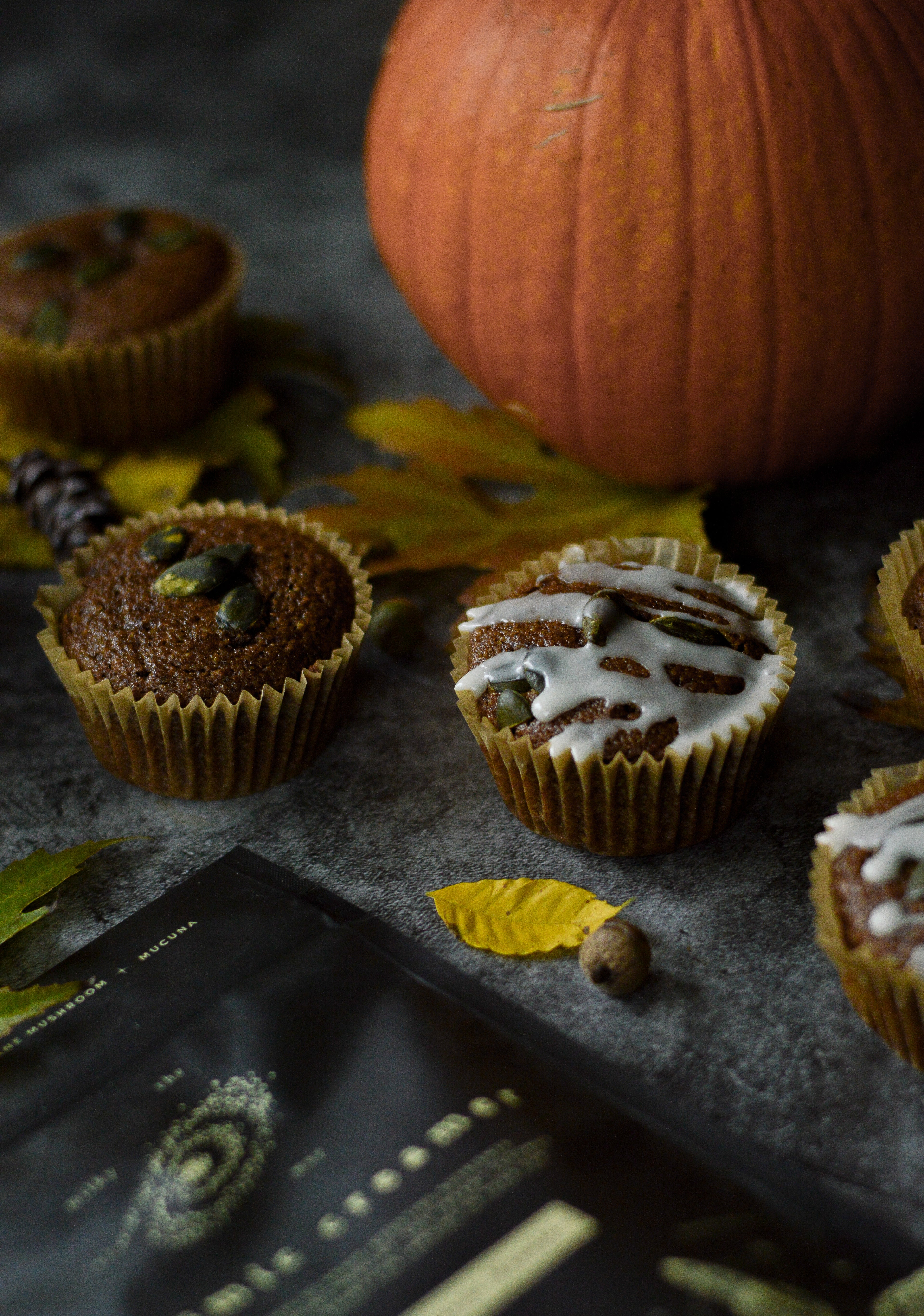 Cosmic Creamer: Lion&