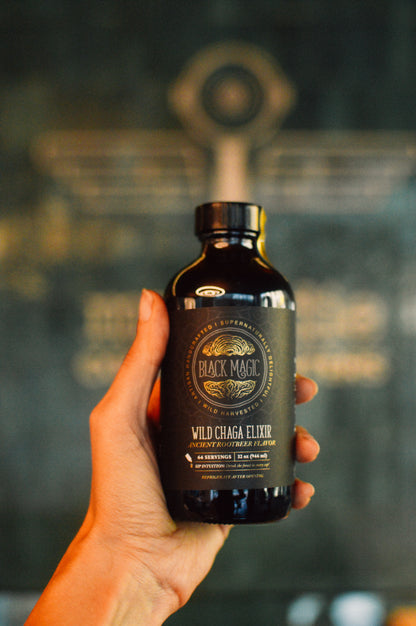 Wild Harvested Chaga Mushroom Rootbeer Elixir