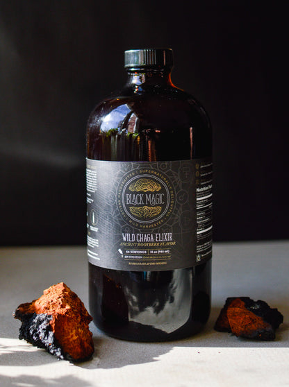 Wild Harvested Chaga Mushroom Rootbeer Elixir