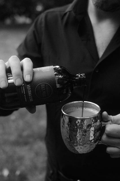 Wild Harvested Chaga Mushroom Rootbeer Elixir