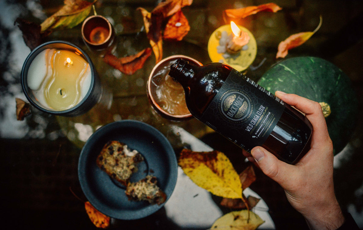 Wild Harvested Chaga Mushroom Rootbeer Elixir