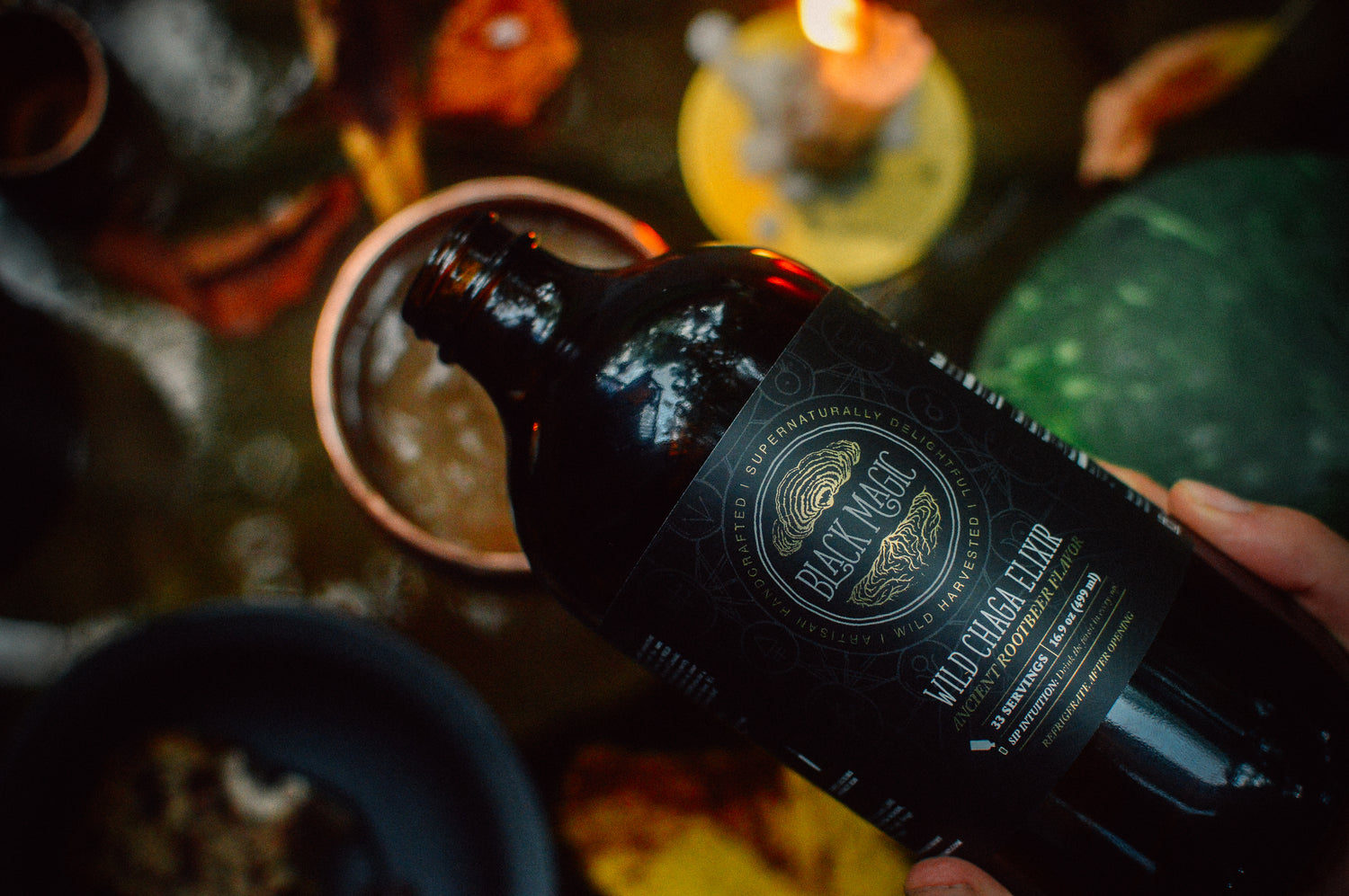 Wild Harvested Chaga Mushroom Rootbeer Elixir