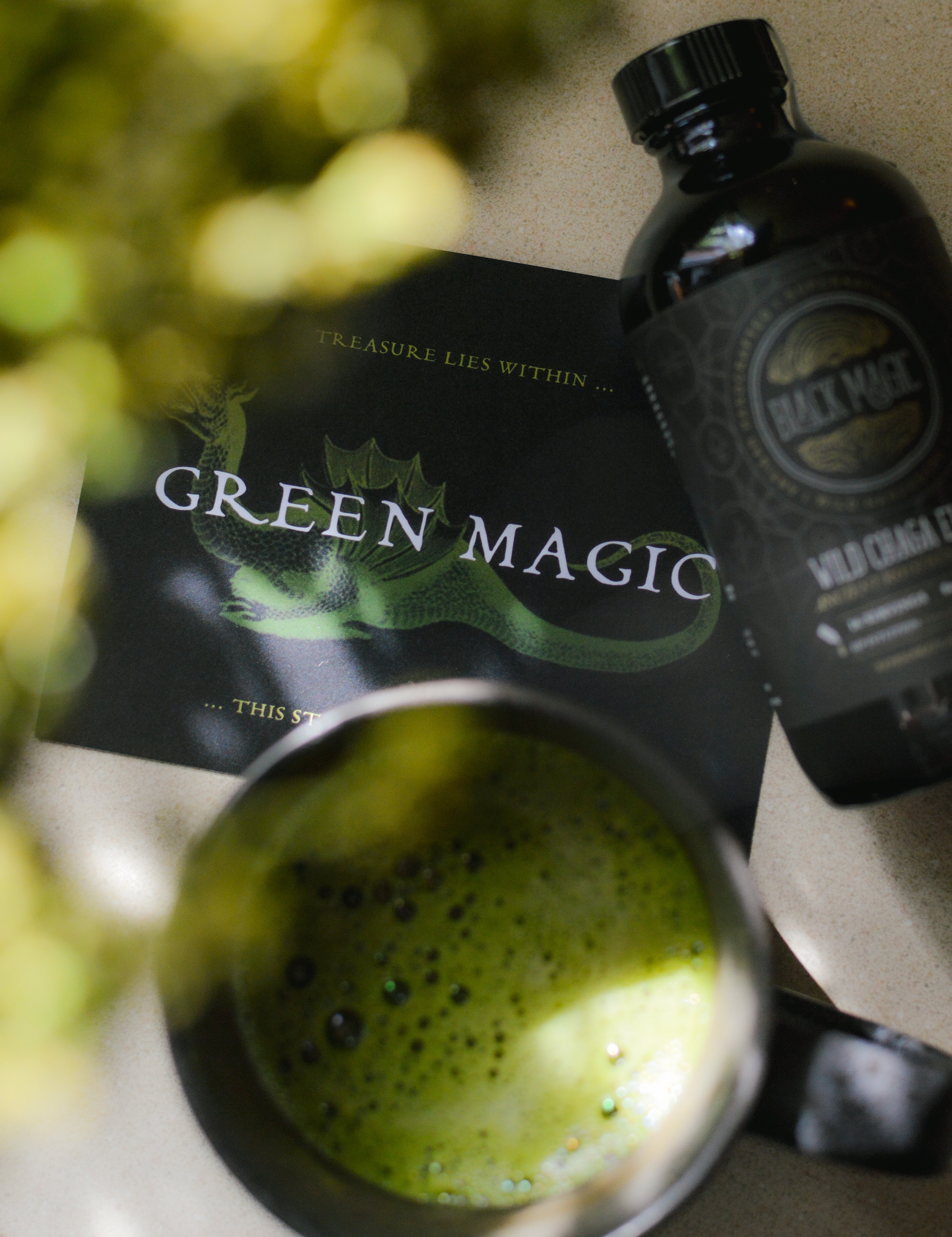 Wild Harvested Chaga Mushroom Rootbeer Elixir