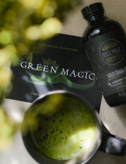 Wild Harvested Chaga Mushroom Rootbeer Elixir