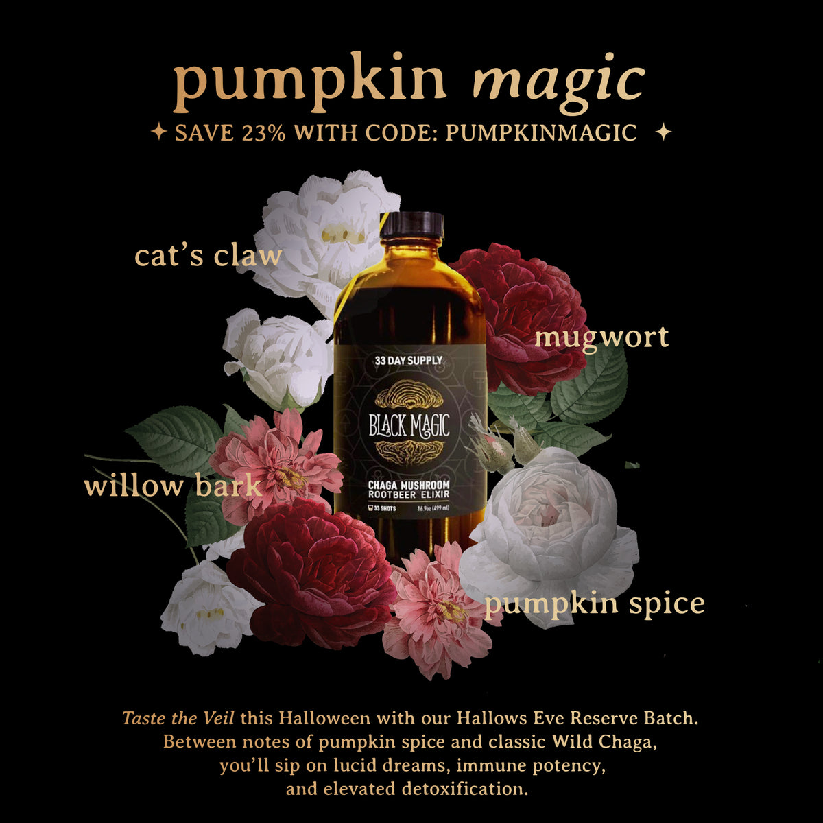 Wild Harvested Chaga Mushroom Rootbeer Elixir