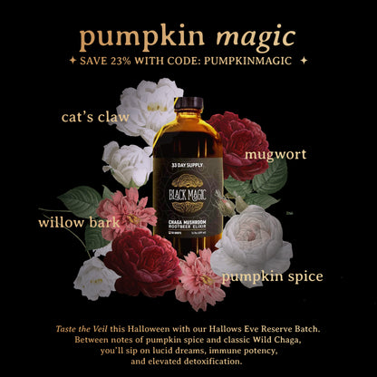 Wild Harvested Chaga Mushroom Rootbeer Elixir